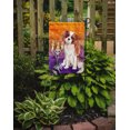 thumbnail image 2 of Carolines Treasures CK3192GF Hallween Blenheim Cavalier Spaniel Drapeau de Jardin, 2 of 3