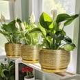 thumbnail image 5 of Ceramic Planter - 6 Inch Plant Pot Indoor Outdoor, Modern Round Planter with Drainage Hole and Plant Saucer, Decorative Small Flower Pot, Home Decor, Birthday Gifts, Gold, 5 of 6