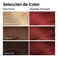 thumbnail image 3 of Tinte para cabello Revlon Colorsilk beautiful color 660 rojo cereza, 3 of 4