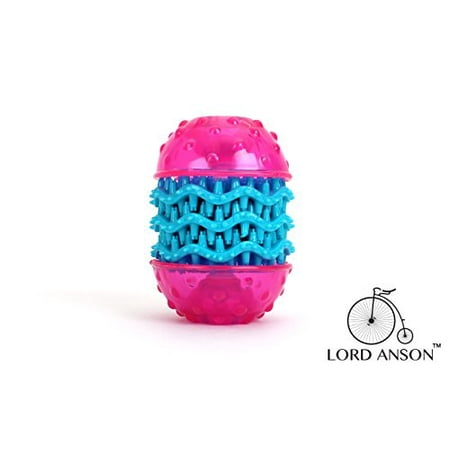 Lord Anson™ Doggie Dental Toy (Medium) - Teeth Cleaning Dog Toy - Interactive Dog Toy - Fun Addition to Dog Tooth Brush for a Happy Dog