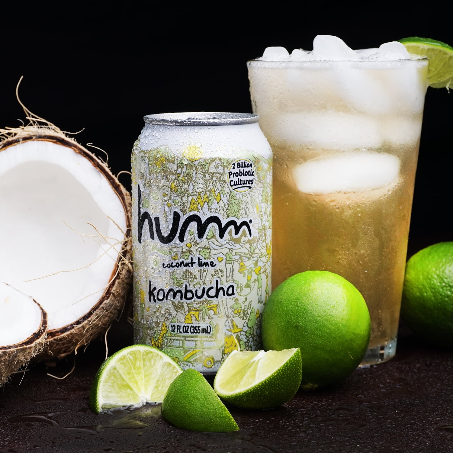 Humm Kombucha Tea, Coconut Lime, Probiotic, Organic, 12oz Can