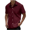 thumbnail image 6 of 2 Pack Mens Button-Down Shirts with Collared Short Sleeve T-Shirts Casual Solid Color Breathable Going-Out Work Beach Tshirts Tees Tops, 6 of 8