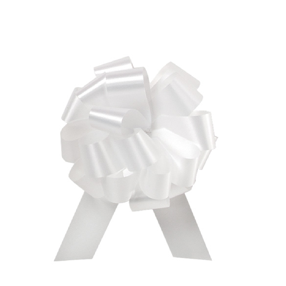 10 Pieces Pull Bow for Gift Wrapping Pull Bow With Ribbon for Wedding