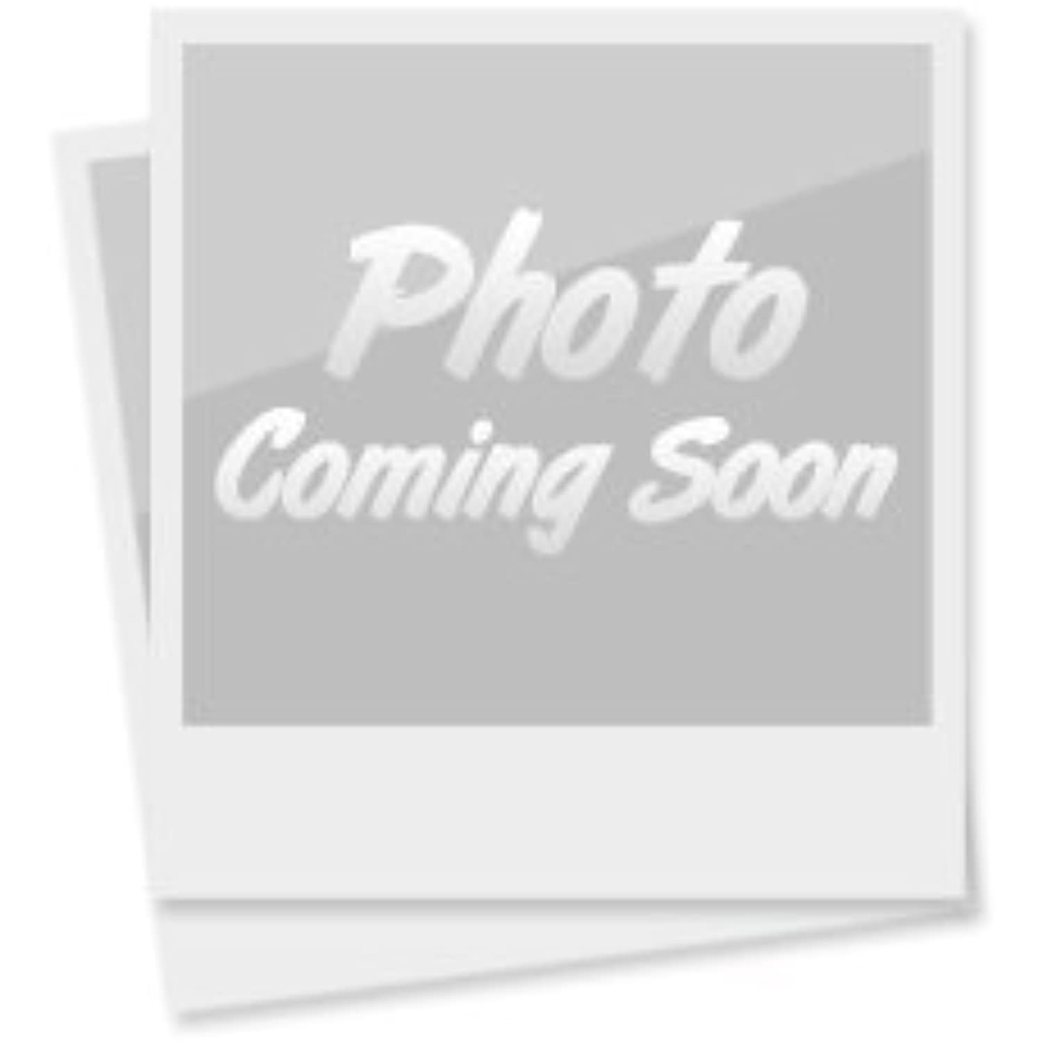 Green Iced Tea Bags Organic 24 Tea Bags