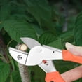 thumbnail image 4 of Pruning Scissors for Gardening, Plants Pruning Shears Floral Shears, Indoor Plants Shears Gardening Tool, Branches Cutting Hand Garden Tools(1PC), 4 of 8