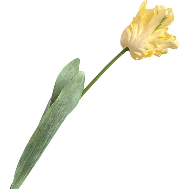 Xiao Hua 3 flores artificiales de tulipán loro 3D, vívidas y decorativas, tacto real, para el hogar, simulación de flores artificiales amarillas.