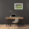 thumbnail image 3 of Paulson, Don 14x11 White Modern Wood Framed Museum Art Print Titled - Washington, Palouse Hills, flowering ninebark, 3 of 4