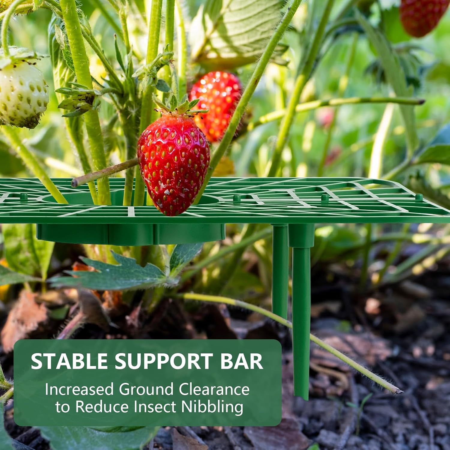 10 Pack Strawberry Supports - Strawberry Plant Support Stand Strawberry Growing Racks Protector Strawberry Growing Frame Holder Cage Helps Support and Prevent Rotting (Green)