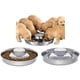thumbnail image 5 of Cuenco para perros de acero inoxidable, 2 areneros para cachorros, comida para destete, plateado, juego de 2 cuencos para perros de acero inoxidable, 29 cm, para perros pequeños, medianos y grandes,, 5 of 8