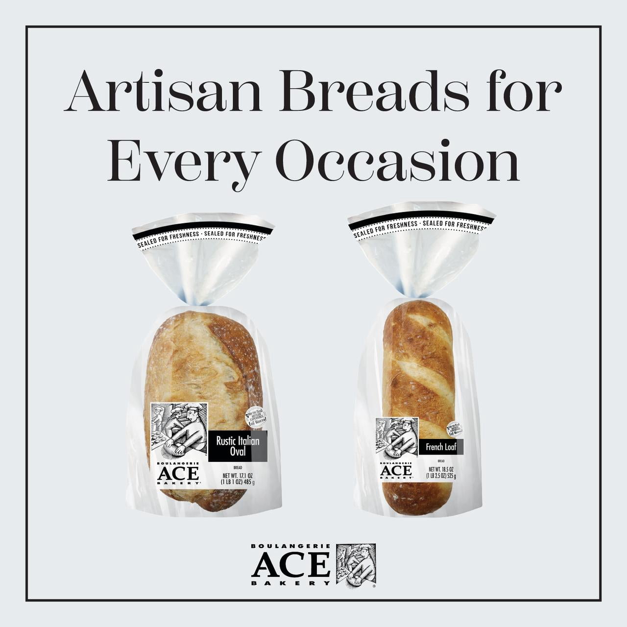 ACE Bakery® French Regular Loaf Bread, 1 Count,18.5 oz