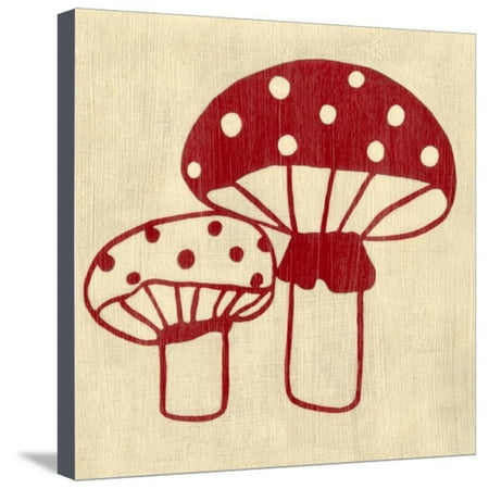 Best Friends - Mushrooms Stretched Canvas Print Wall Art By Chariklia