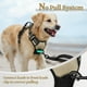 thumbnail image 5 of Arnés para perros Rabbitgoo sin tirones, ajustable, XL, beige, 5 of 8