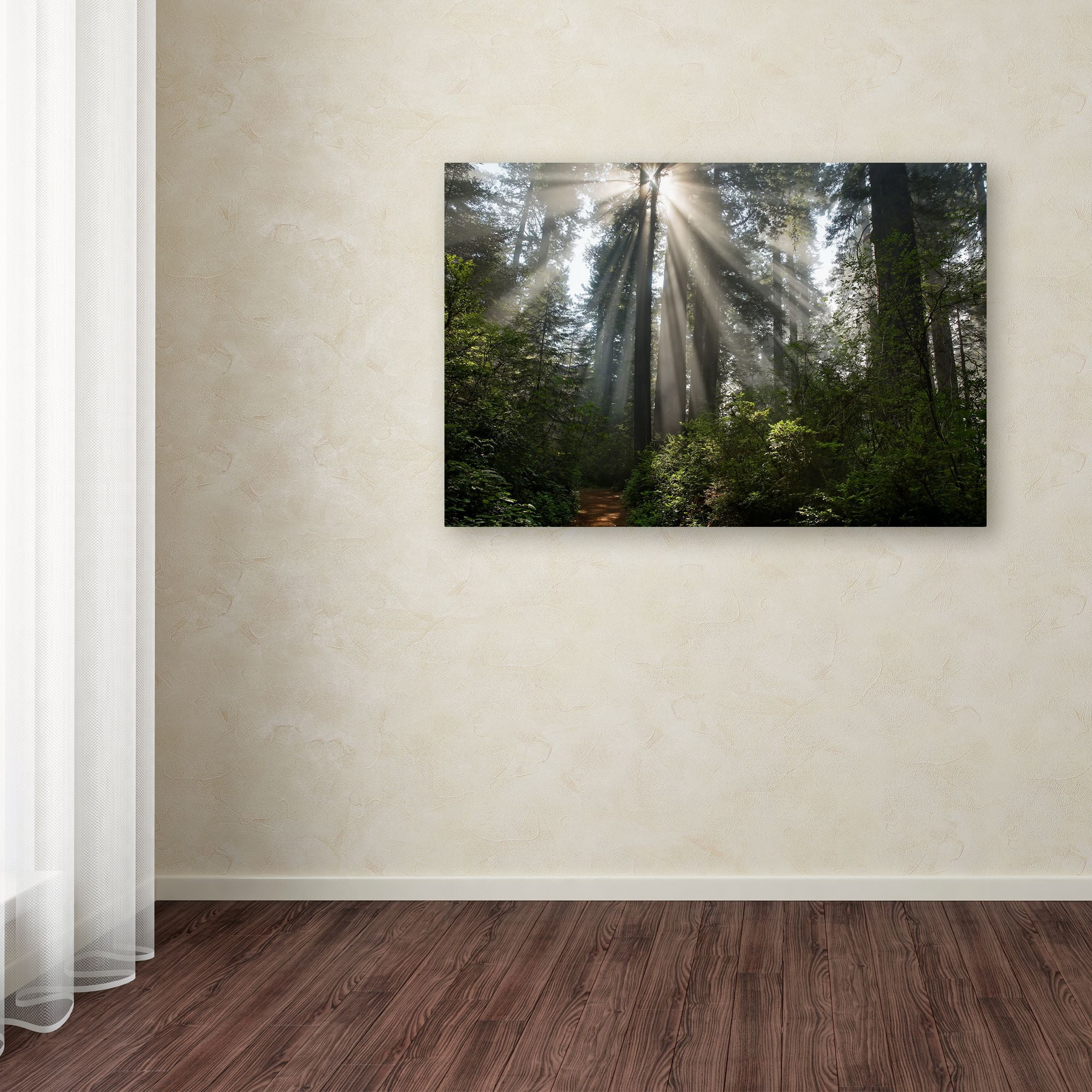 Trademark Fine Art Landscape Canvas Art ' Redwoods NP Ladybird Johnson Lightbeams ' by Mike Jones Photo
