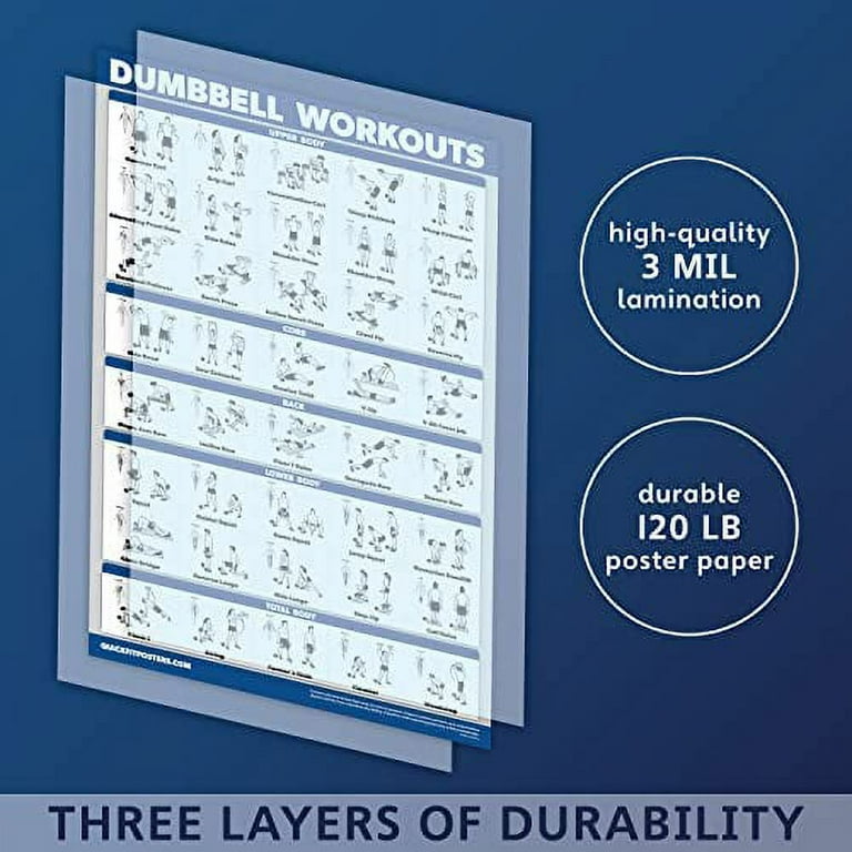 QuickFit Dumbbell Workouts and Barbell Exercise Poster Set Laminated 2 Chart Set Dumbbell Exercise Routine Barbell Workouts 18 x 27 Walmart