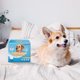 thumbnail image 5 of Envoltura para perros HONEY CARE All-Absorb A24 para hombre, grande, 50 unidades, 5 of 6
