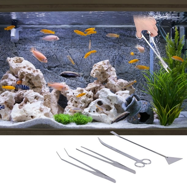 Kit aquascaping clearance