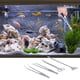 thumbnail image 5 of Kit De Herramientas Para Acuario Aquascape, Pinzas, Espátula, Tijera, Juego De Herramientas, 4 Piezas, Kit De Herramientas Para Aquascaping, Herramientas Para Acuario Aquascaping, 5 of 8