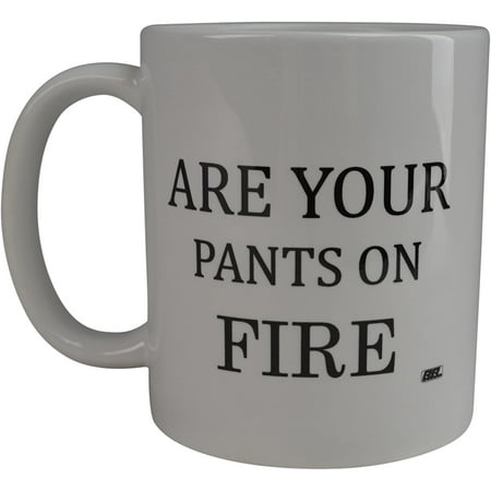 

Best Funny Coffee Mug Liar Are Your Pants On Fire Novelty Cup Great Gift Idea For Home Or Office Work Boss Employee