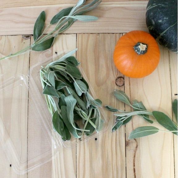 0.5 oz. Top Seal Hanging Fresh Herb & Microgreen Package (0321)