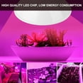 thumbnail image 4 of Quality LED Chip Plant Light Bulb, Low Heat 200LED Plant Light, Vegetables For Planting Flowers, 4 of 8