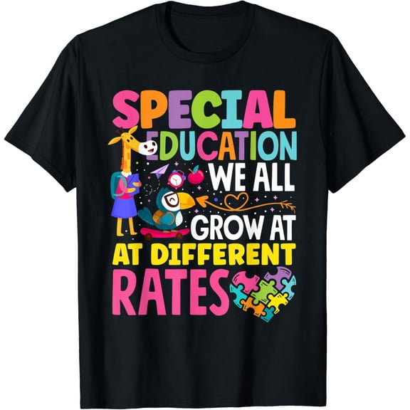 True Vibe Paraeducator Paraprofessional Sped Teacher Special Education T-Shirt