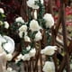 thumbnail image 4 of RKSTN Lamp string LED String Rose Light Strip String Light Room Bedroom Wedding Holiday Decoration Light 59.05in10 Light, 4 of 6