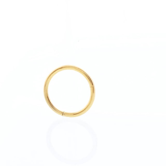Up to 65% Off Seamless Hinged Segment Sleeper Clicker Ring Hoop Ear Lip Nose Septum Piercing Necklace Rings Earring Jewelry on Clearance