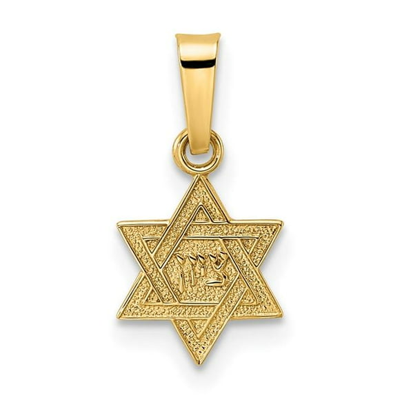 Quality Gold XR1973 14K Yellow Gold Polished Textured Solid Star of David Pendant