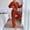 Red, variant on HAPIMO Women's Sets Thickened Warm Fleece Sweatshirt Casual Comfy Long Sleeve V Neck Tops Fleece Joggers Fall Winter Loungewear Sets Red M