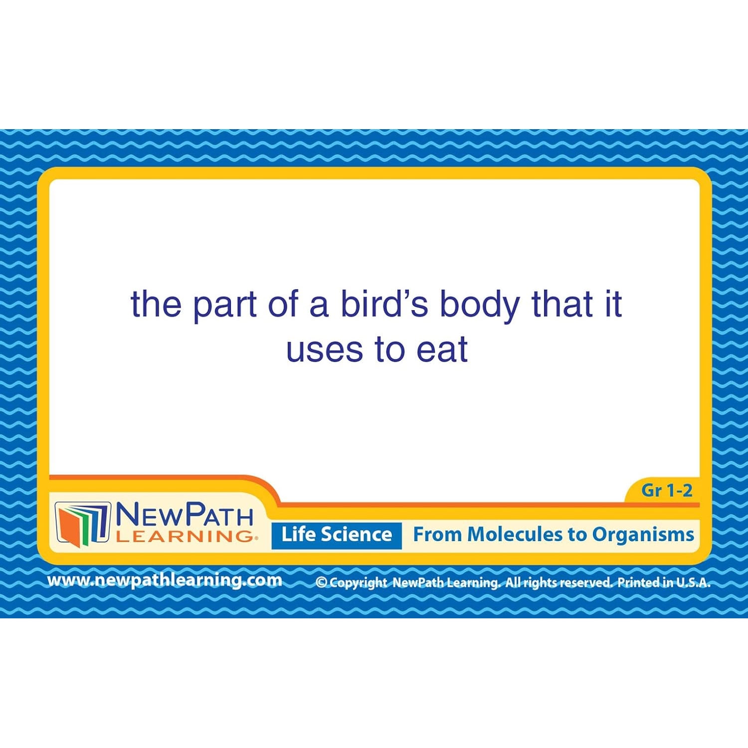 NewPath Learning Science Vocabulary Builder Flash Card Set, Grades 1-2