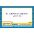 thumbnail image 3 of NewPath Learning Science Vocabulary Builder Flash Card Set, Grades 1-2, 3 of 5