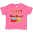 thumbnail image 3 of Inktastic Bloodhound Loved by a (dog Breed) Boys or Girls Toddler T-Shirt, 3 of 5