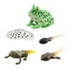 thumbnail image 3 of Figuras de animales Juguete Figuras de animales realistas Aprendizaje Prop Ranas Modelo de para niños en edad preescolar estilo B Hugo juego de crecimiento, 3 of 10