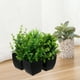 thumbnail image 5 of Plantas artificiales artificiales para interior, hojas verdes de imitación, planta verde para el hogar, oficina, baño, mesa de granja, 4 Uds., 5 of 8
