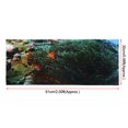 thumbnail image 4 of PVC Adhesive Coral Small Fish Pattern Aquarium Background Poster Sticker Fish Tank Decoration, 4 of 8