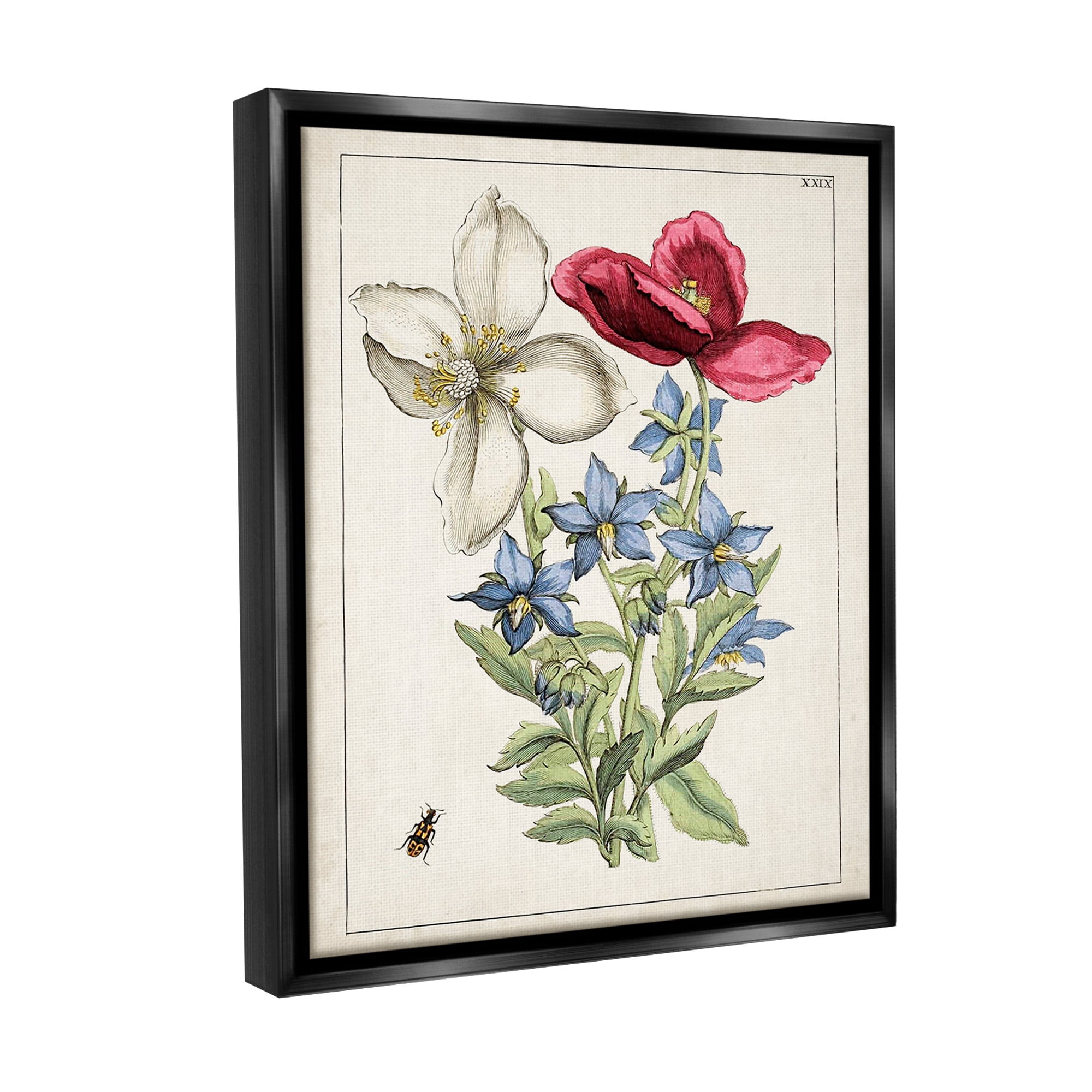 Stupell Industries Vintage Beetle & Flowers Botanical & Floral Painting Black Floater Framed Canvas Art Print Wall Art, 25 x 31