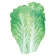 thumbnail image 4 of Disfraz de comida para adultos Sunnimix Unisex Encantador Fiesta temática Verduras, 4 of 7