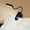 #Black#, variant on 100Fens Small Table Lamp,Bedside Table Lamp,Wooden Bedside Lamp Simple Bedroom Lamp Linen Shade Mini Desk Lamp Night Light Nightstand Lamp for Bedroom,Living Room,Kids Room