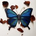 thumbnail image 2 of Unfinished Wood Butterfly 14" / 1/4", 2 of 6