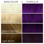 Arctic Fox Vegan and Cruelty-Free Semi-Permanent Hair Color Dye (8 fl oz, Purple AF)