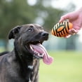 thumbnail image 2 of Pelota de fútbol de goma para perros Nerf con chirriador en espiral, naranja, 2 of 4