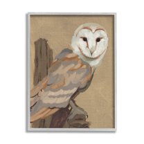 Stupell Industries Barn Owl Bird Perched Gazing Wildlife Animal Painting Painting Gray Framed Art Print Wall Art, Design by Jacob Green