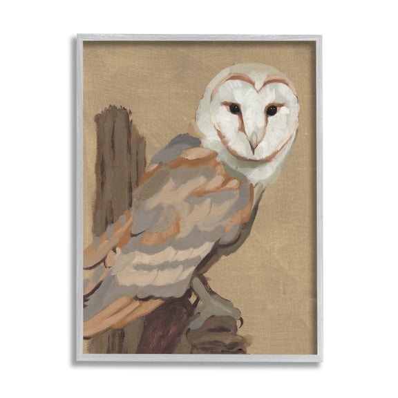 Stupell Industries Barn Owl Bird Perched Gazing Wildlife Animal Painting Painting Gray Framed Art Print Wall Art, Design by Jacob Green