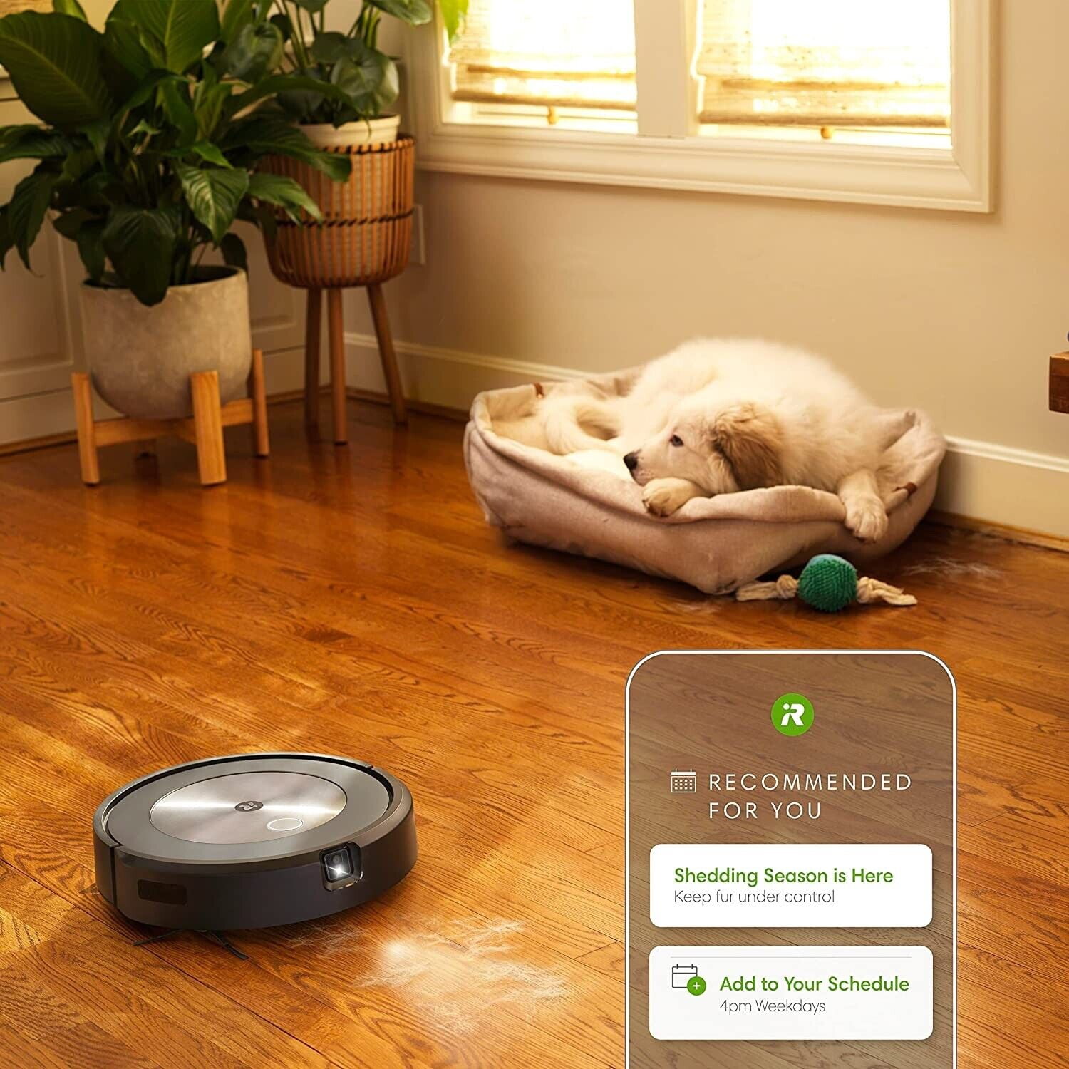 iRobot Roomba j7+ (7550) Self-Emptying Vacuum w/ Automatic Dirt 