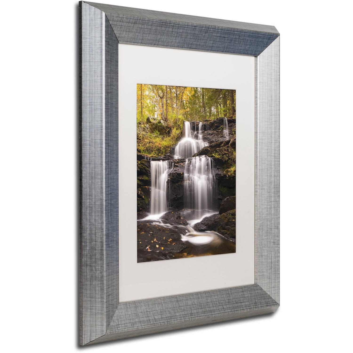 Trademark Fine Art 'Autumn Horsetails' Canvas Art by Michael Blanchette Photography, White Matte, Silver Frame