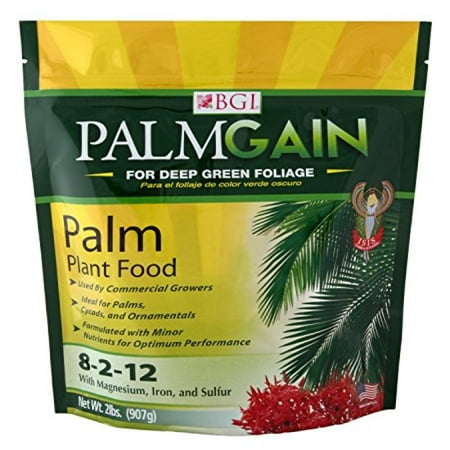 PALMGAIN 2lb Bag, Palm Tree Fertilizer, Ferns, Cycads, (Best Plant Food For Bougainvillea)