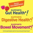 thumbnail image 4 of Kids Probiotic Gummies with Prebiotic Fiber Sugar Free - Probiotics Kids for Digestive Health, 4 of 6