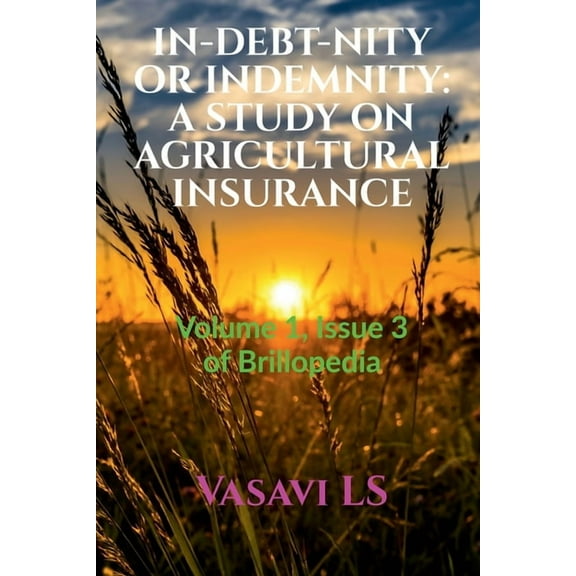 In-Debt-Nity or Indemnity, (Paperback)