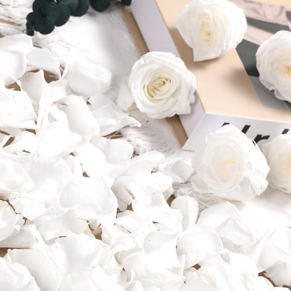 Dried Real Rose Petals, Natural Preserved Dry Flower Petals for Wedding Party Dinner Table Decor, Romantic Night Her Set, Engagement, Bridal Shower, Valentine's Day, Confetti (1.4oz, White)