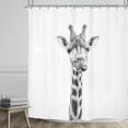 thumbnail image 2 of Funny Animal Shower Curtain Giraffe Jungle Safari Tropic African Wildlife Black and White Kid Boy Modern Designer Cool Bathroom Decor 72Wx72H inch 12 Pack Plastic Hooks, 2 of 6